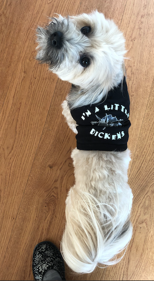 McGee the little Dickens