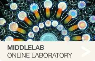 MiddleLab NAI's Middlemarch Online Laboratory